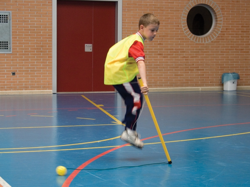 PELOTA CON MANGO (1)