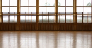 Espalderas de Gimnasio