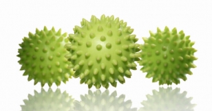 Fitballs Sensoriales